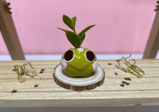 Clay Froggy "Rino" Green - pointed leaves